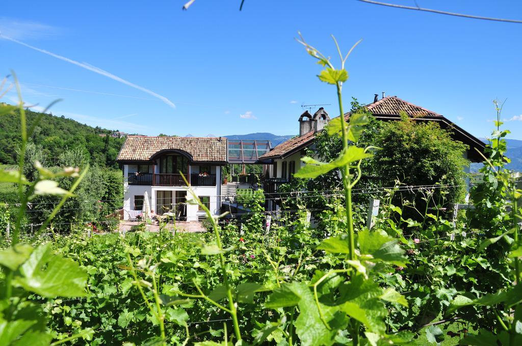 Weingut Weidlhof - Suite & Breakfast - Vacation For Wine Lovers Caldaro Eksteriør billede